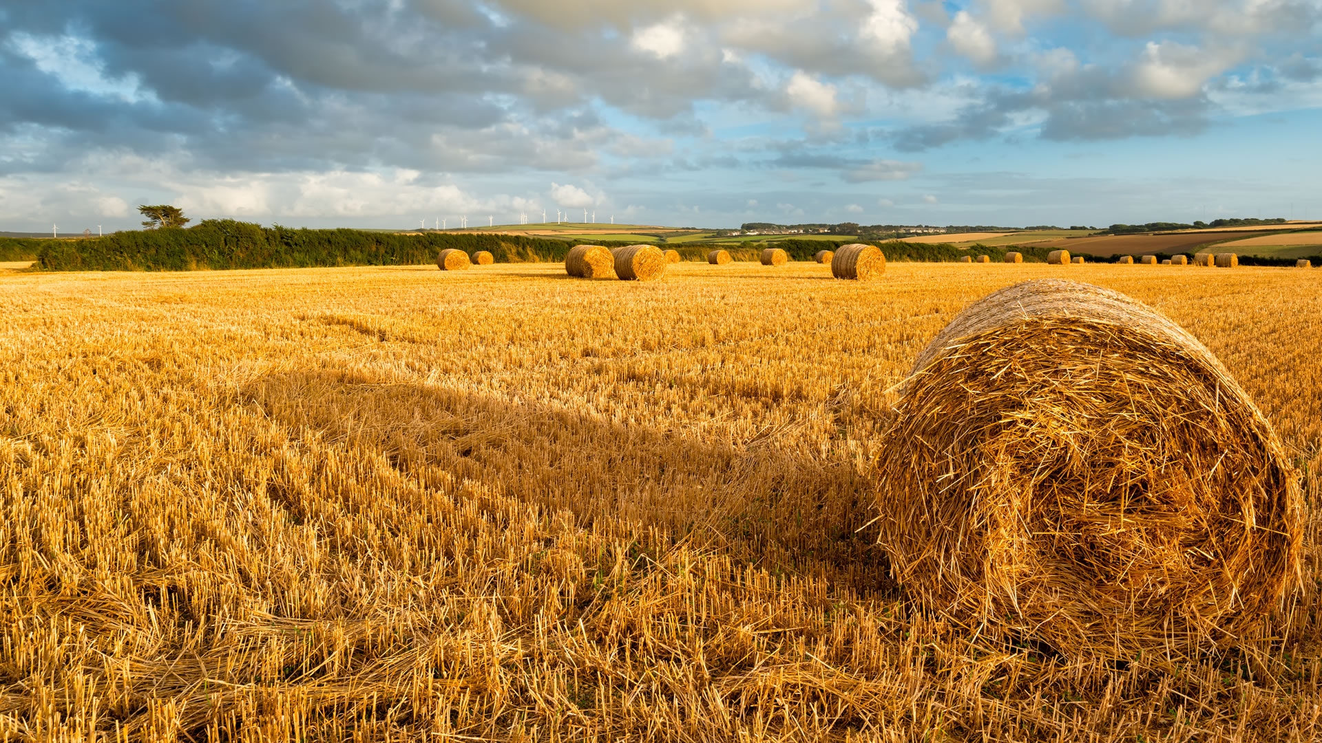 Manifestazione di interesse tirocini extracurriculari agricoltura