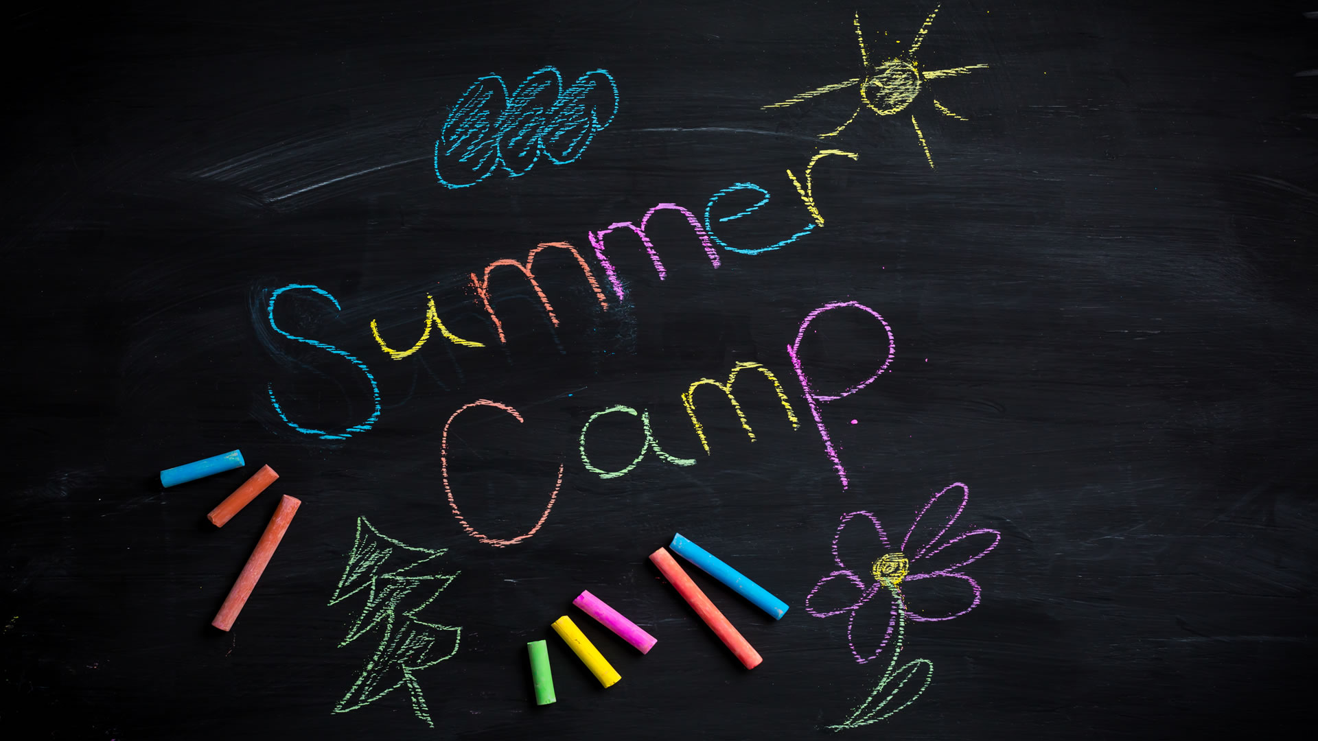 Summer Camp 2024