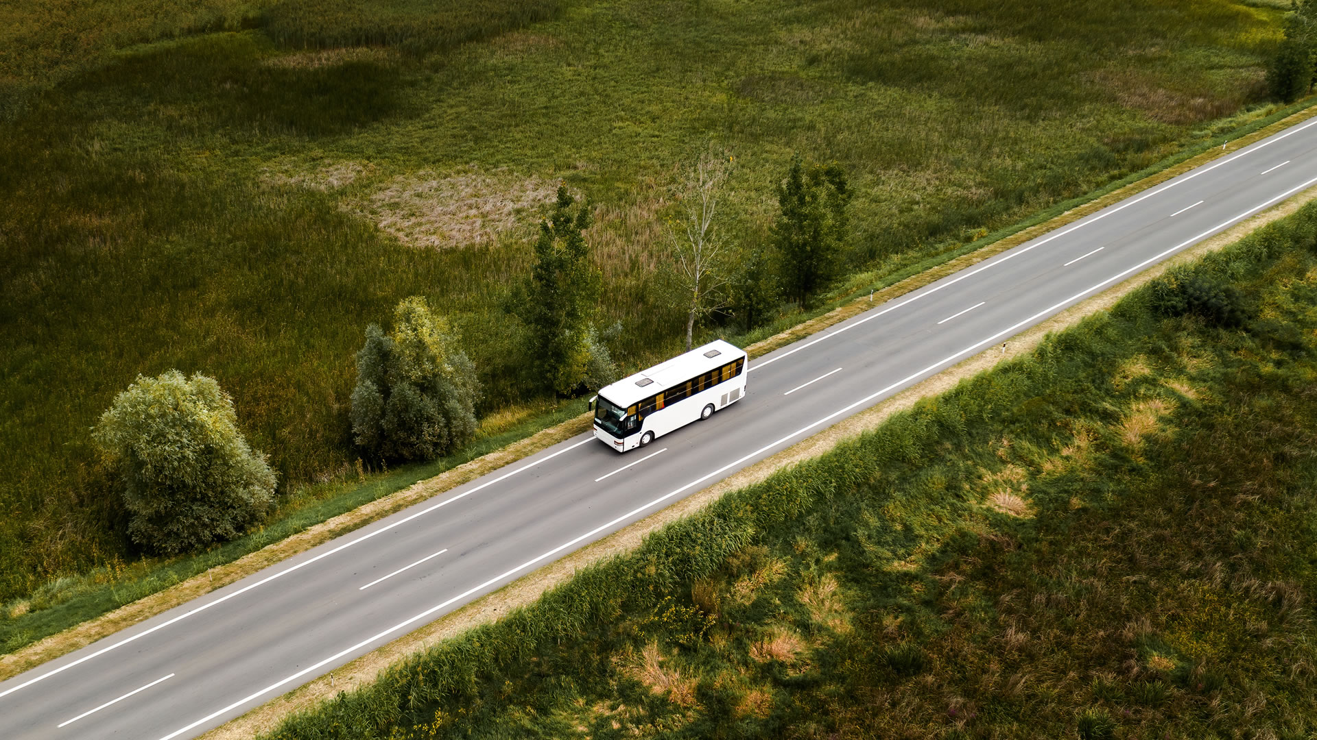 autobus del mare